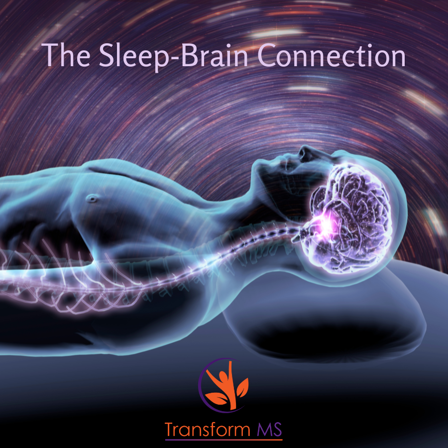 Illustration of the sleep-brain connection, highlighting how deep sleep supports brain detox and overall neurological health